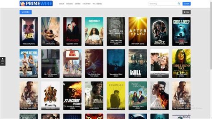 Best Practices for Safe Movie Downloads Using PrimeWire