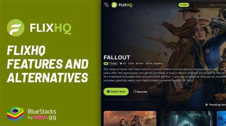 How to Download HD Movies from FlixHQ Without Buffering Issues