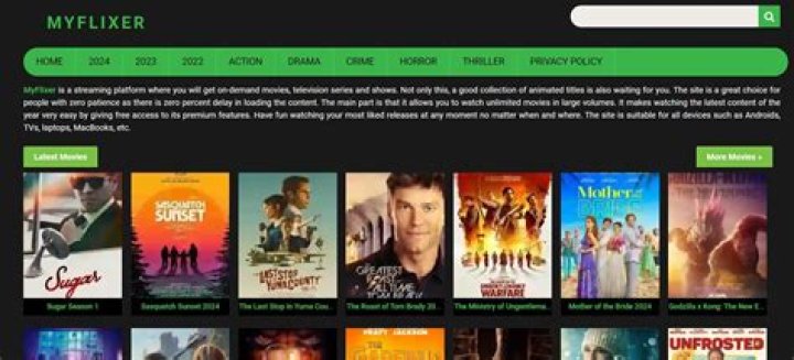 Legal Tips for Downloading Movies Safely with MyFlixer