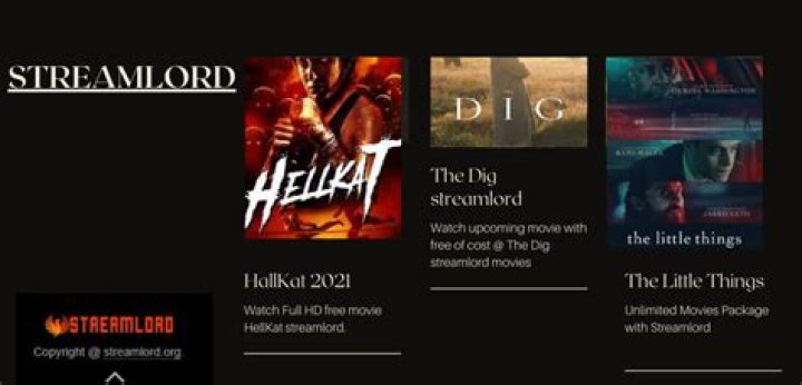 StreamLord Tips: Avoiding Malware While Downloading Movies