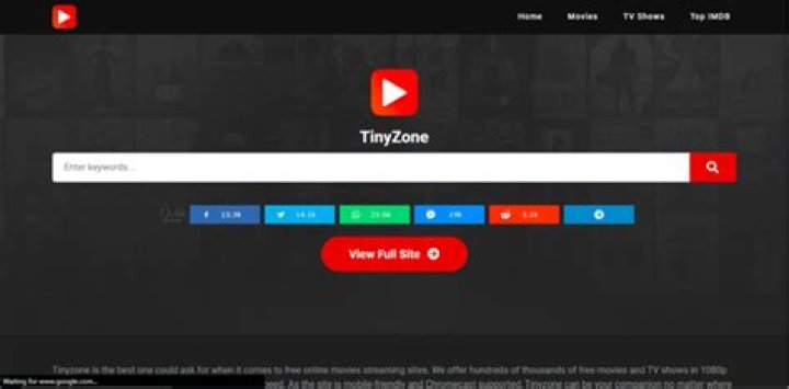 TinyZone.tv: Your Ultimate Guide to Free Movie Downloads in 2024