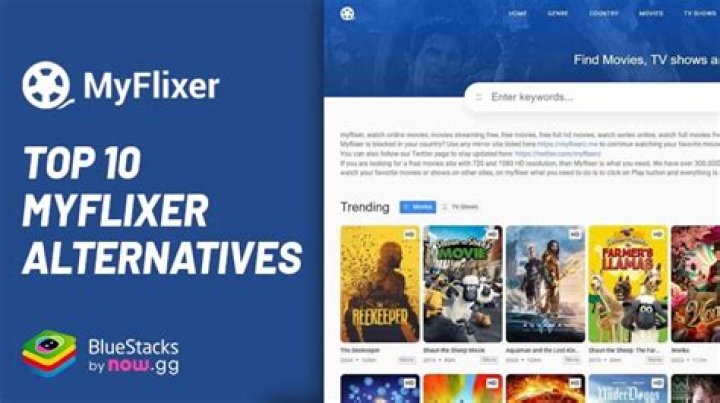 Top 10 Movies to Download on MyFlixer This Week