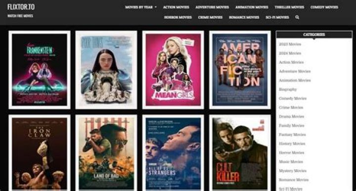 Top 10 Tips for Fast Movie Downloads on BFlix.to