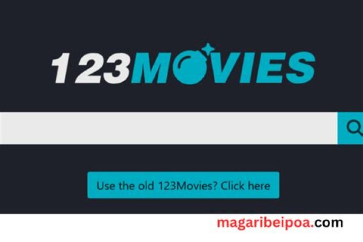 Troubleshooting Common Movie Download Issues on 123Movies.rs
